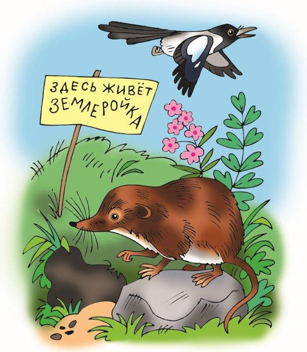 Здесь живёт Землеройка © Иванов Лаврентий Анатольевич Здесь живёт Землеройка © Иванов Лаврентий Анатольевич