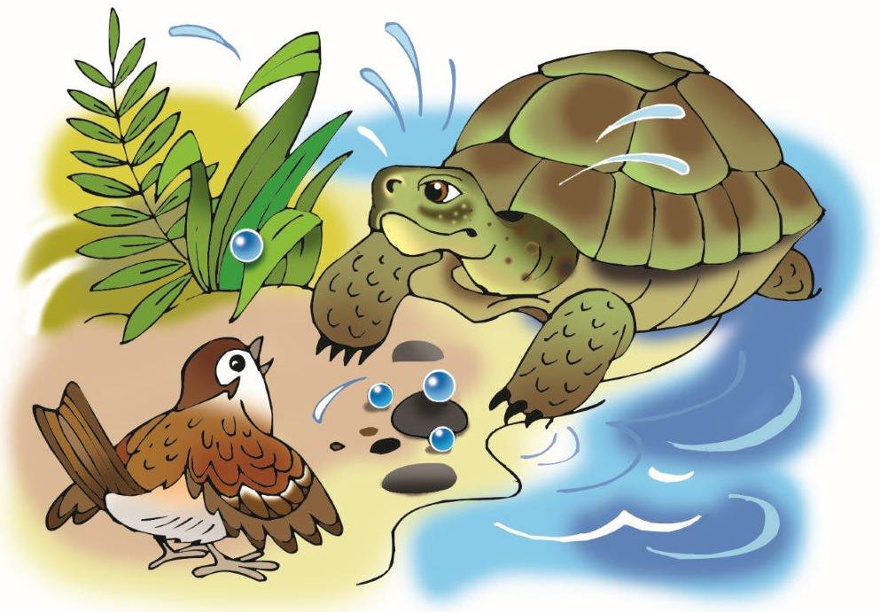 Читать сказку черепаха. Сказочная черепаха. Черепаха иллюстрация. Черепаха из сказки. Черепаха занятие для детей.